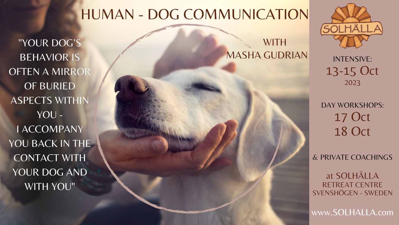 dog-communication
